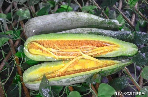 新沂网红吃瓜,揭秘网络红人的幕后故事  第3张