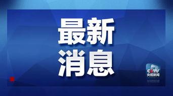 杜导最新爆料消息新闻,揭秘电影幕后故事与幕后英雄 第1张 杜导最新爆料消息新闻,揭秘电影幕后故事与幕后英雄 第1张